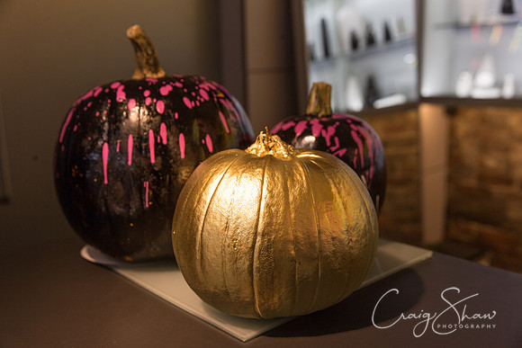 17_PumpkinFestival_HRTC_craigshaw