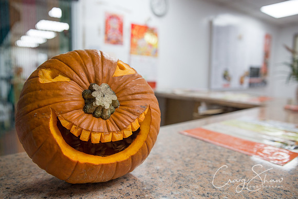 31_PumpkinFestival_HRTC_craigshaw