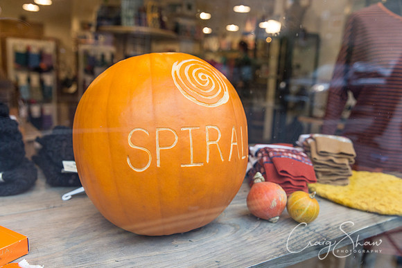 40_PumpkinFestival_HRTC_craigshaw