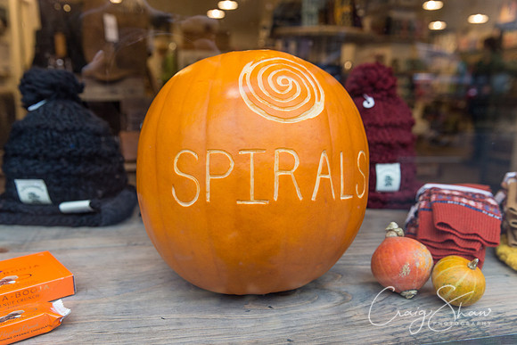 41_PumpkinFestival_HRTC_craigshaw