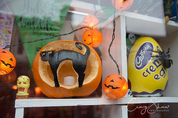52_PumpkinFestival_HRTC_craigshaw