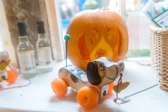 60_PumpkinFestival_HRTC_craigshaw