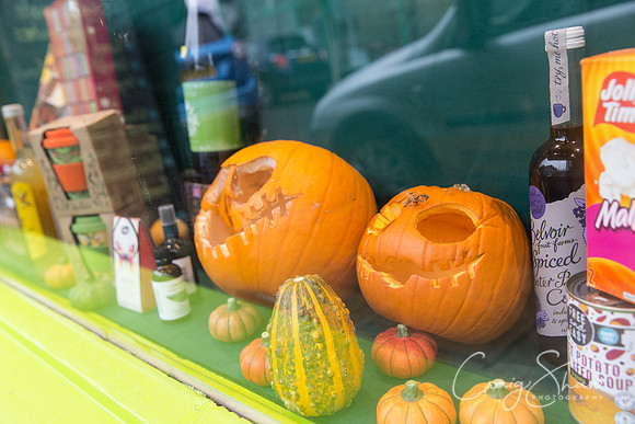 79_PumpkinFestival_HRTC_craigshaw