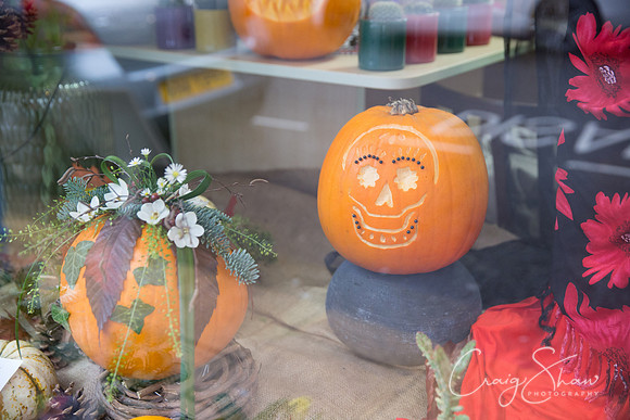 77_PumpkinFestival_HRTC_craigshaw