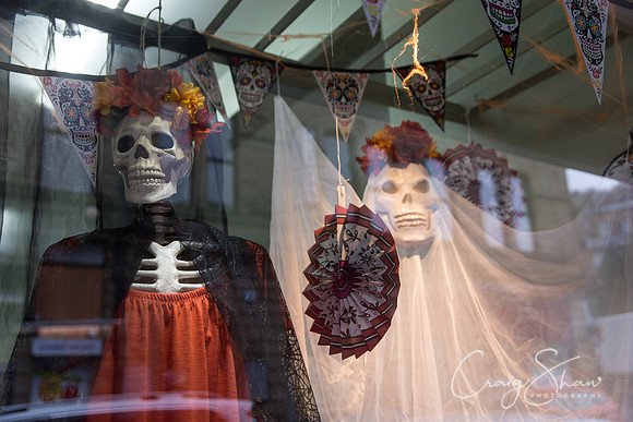 101_PumpkinFestival_HRTC_craigshaw