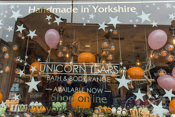 113_PumpkinFestival_HRTC_craigshaw
