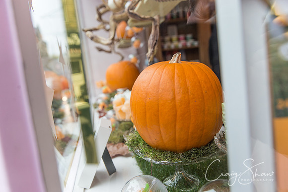 116_PumpkinFestival_HRTC_craigshaw