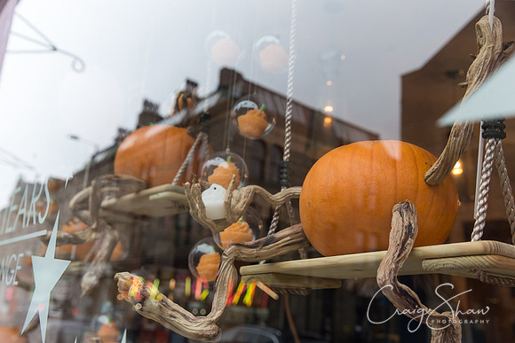 125_PumpkinFestival_HRTC_craigshaw