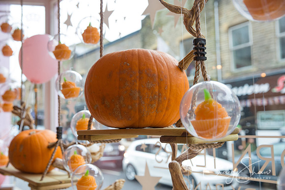 133_PumpkinFestival_HRTC_craigshaw