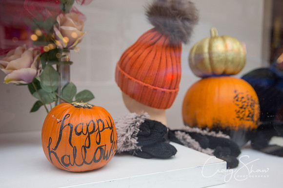 137_PumpkinFestival_HRTC_craigshaw