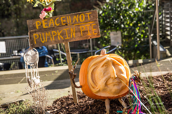 144_PumpkinFestival_HRTC_craigshaw