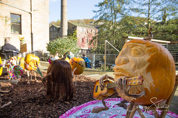 152_PumpkinFestival_HRTC_craigshaw