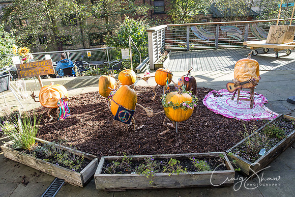 157_PumpkinFestival_HRTC_craigshaw
