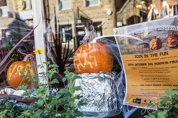 190_PumpkinFestival_HRTC_craigshaw