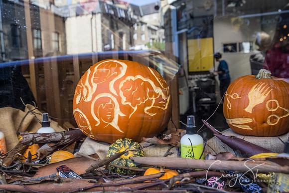 196_PumpkinFestival_HRTC_craigshaw