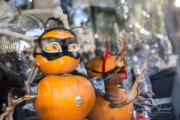212_PumpkinFestival_HRTC_craigshaw