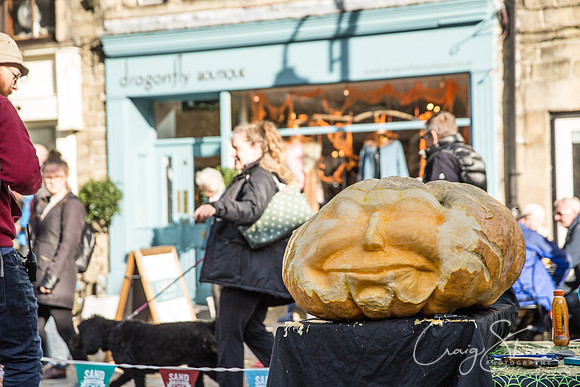 225_PumpkinFestival_HRTC_craigshaw