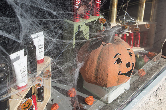 232_PumpkinFestival_HRTC_craigshaw