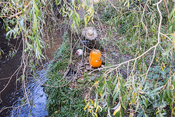 331_PumpkinFestival_HRTC_craigshaw