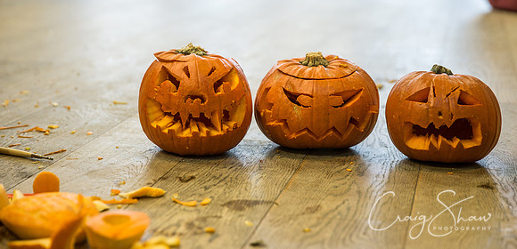 516_PumpkinFestival_HRTC_craigshaw