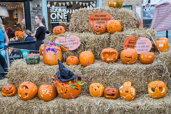 556_PumpkinFestival_HRTC_craigshaw