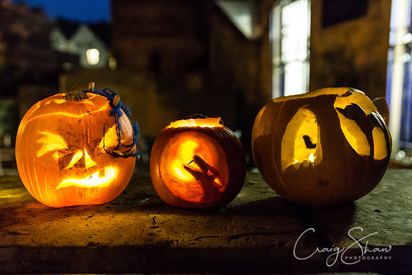 1274_PumpkinFestival_HRTC_craigshaw