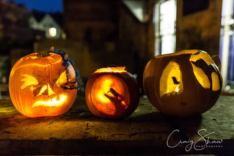 1274_PumpkinFestival_HRTC_craigshaw