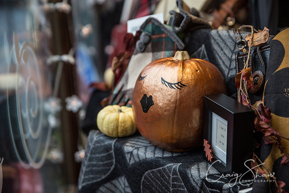 1_PumpkinFestival_HRTC_craigshaw