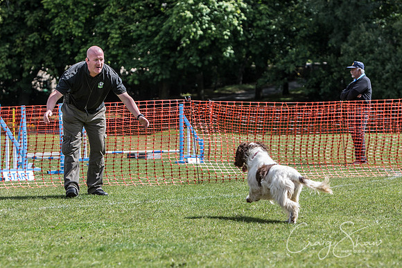 528_HebdenHappyHounds_2014_bluplanetphoto