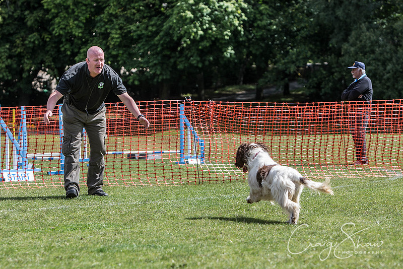 528_HebdenHappyHounds_2014_bluplanetphoto