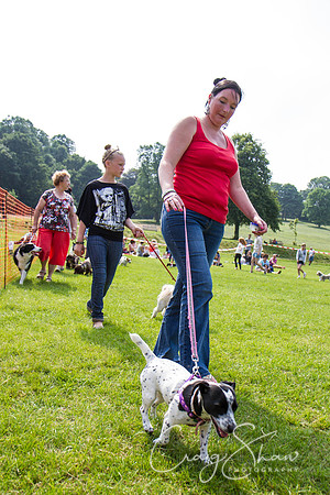 RSPCA Dog Day Afternoon