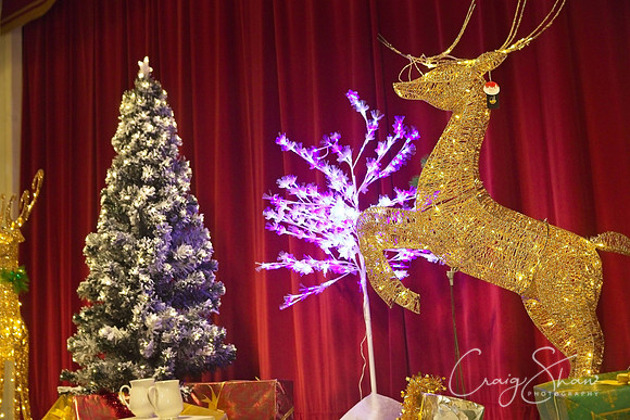 8155_MythXmasLights2017_craigshawphoto