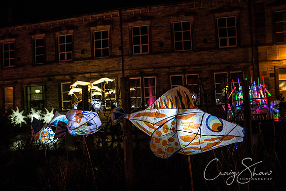 58_Lamplighter2017_craigshawphoto