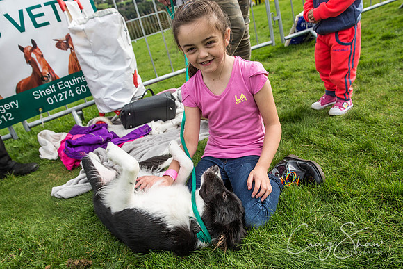 283_Woofstock2016_craigshaw