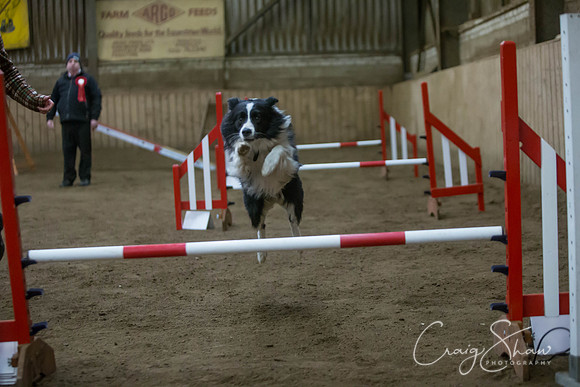 2675_springfling2015_bluplanetphoto