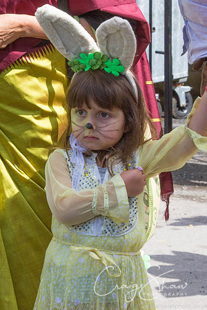 Hebden Bridge Handmade Parade 2012