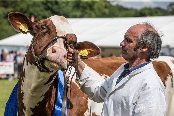 979_TodAgriculturalShow2014__bluplanetphoto