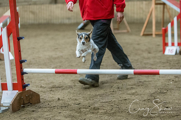 1621_springfling2015_bluplanetphoto