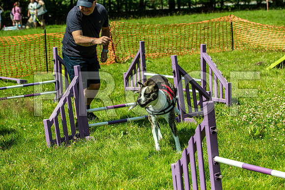 1518__PAWSFundogShow_July2022_cshaw