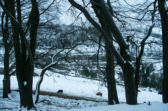 20100110-DSC_6992