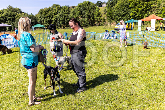2598__PAWSFundogShow_July2022_cshaw