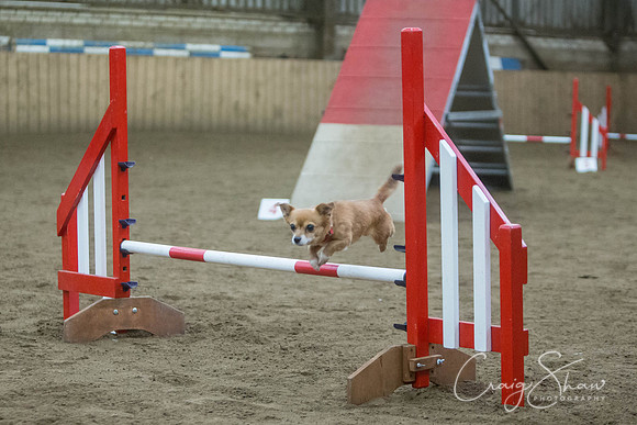 1598_springfling2015_bluplanetphoto