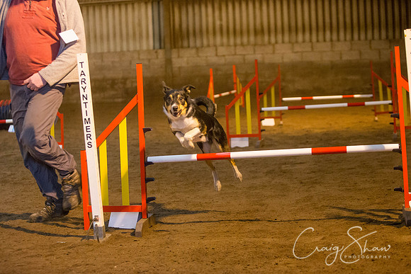 224_springfling2015_bluplanetphoto