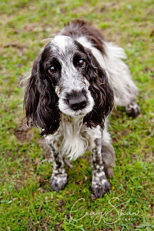 spring fling 2012-2496