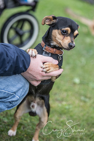 428_BarkintheParkHuddersfield_2014_bluplanetphoto