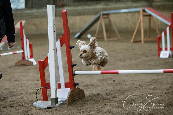 1574_springfling2015_bluplanetphoto