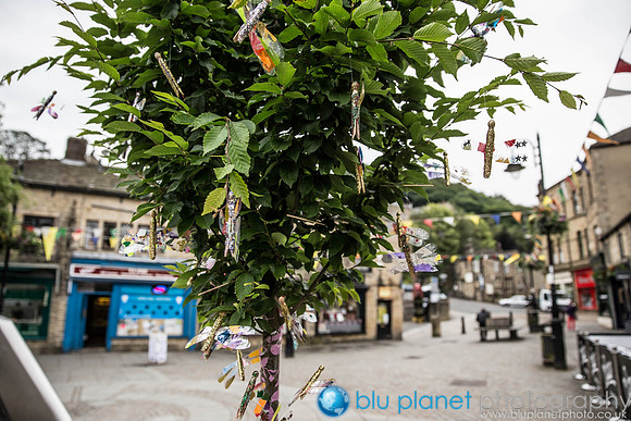777_HBAF2014_Friday27thJune_craigshawphoto