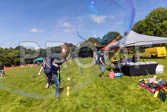361__PAWSFundogShow_July2022_cshaw