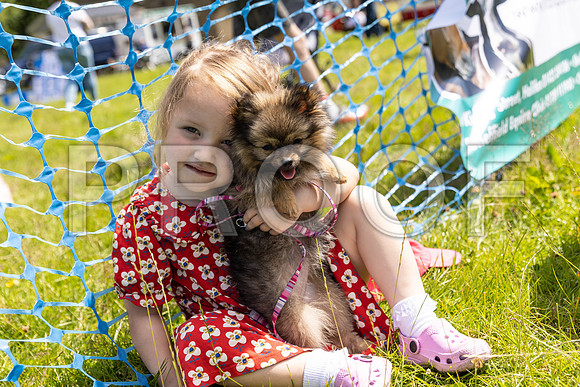 1408__PAWSFundogShow_July2022_cshaw