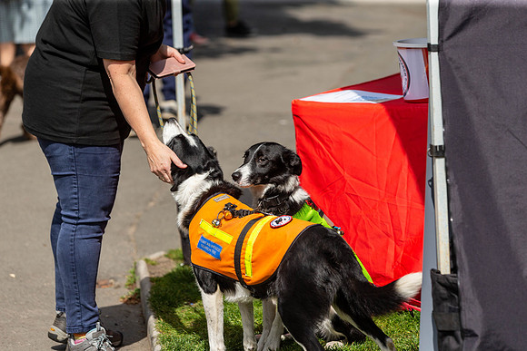 230__HebdensHappyHounds2022_May2022_cshaw